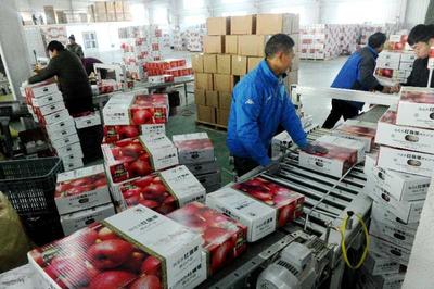 國家林草局組織產銷對接助力林業復產復工，暢通產品銷售渠道