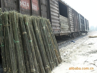 供應(yīng)安竹與江西葦 文安縣永興竹品銷(xiāo)售處的專(zhuān)業(yè)林業(yè)產(chǎn)品服務(wù)