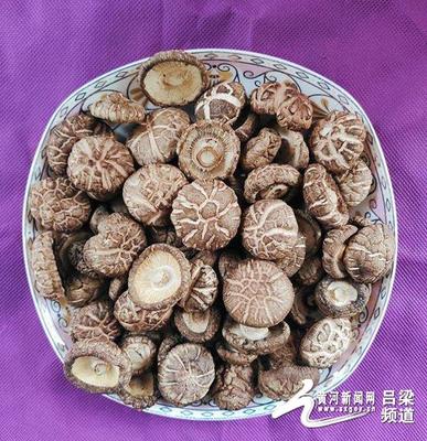 交口縣 '三寶'跨上'高速路'，走出深閨天下識(shí)