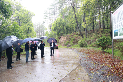 福建省林業局領導赴明溪縣調研林業產品銷售工作