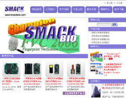 斯麥克信息技術 引領信息技術服務新篇章